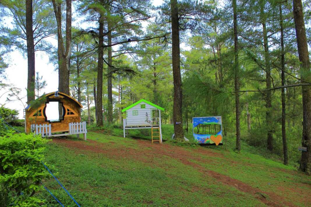 Suasana di Malino yang dipenuhi hutan pinus