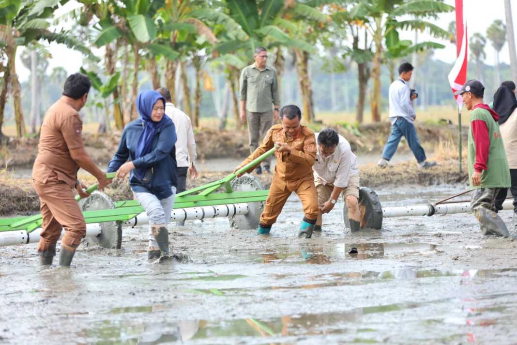 Bupati Bone bersama pejabat dan warga mengikuti Gerakan Tanam Serempak PM-AAS di Desa Ajangale, Kabupaten Bone.