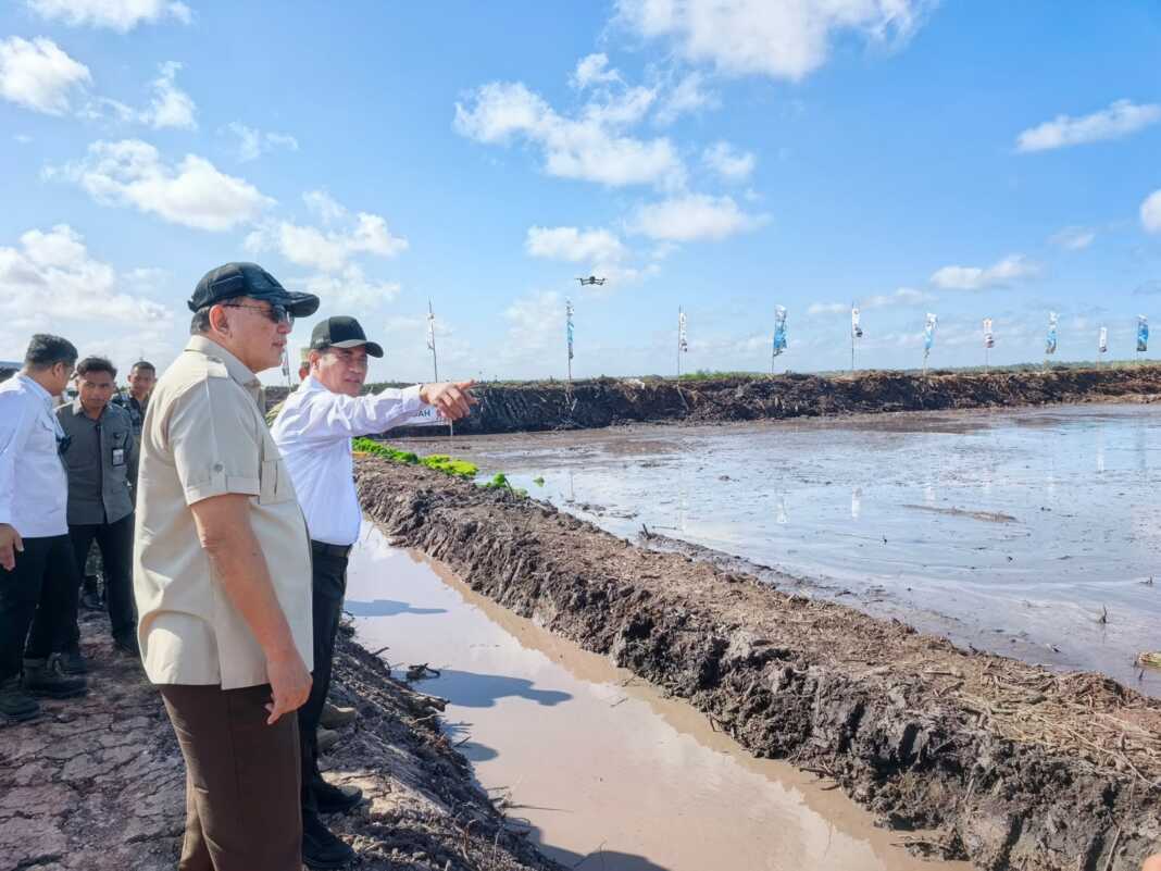 Rombongan pejabat meninjau lahan pertanian di Wanam, Merauke, Papua Selatan.