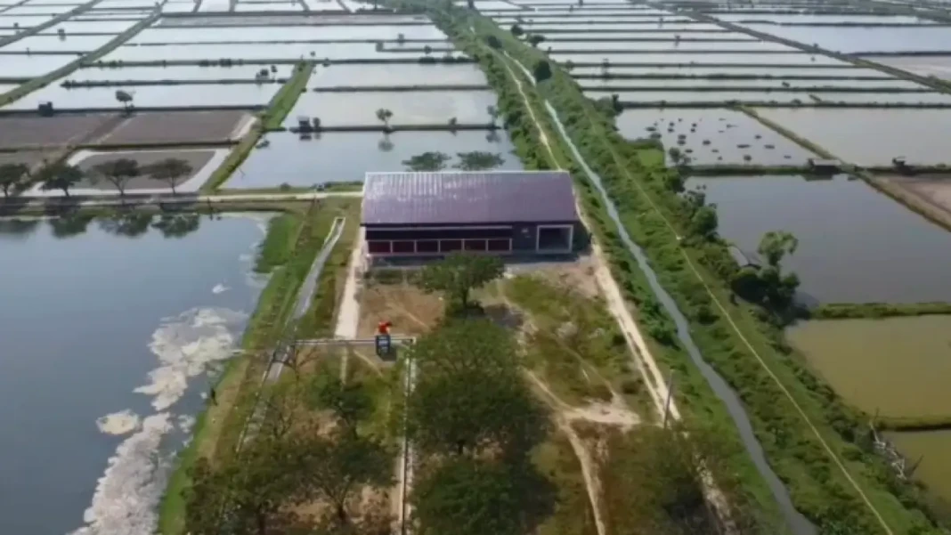 Kopdes di tengah sawah