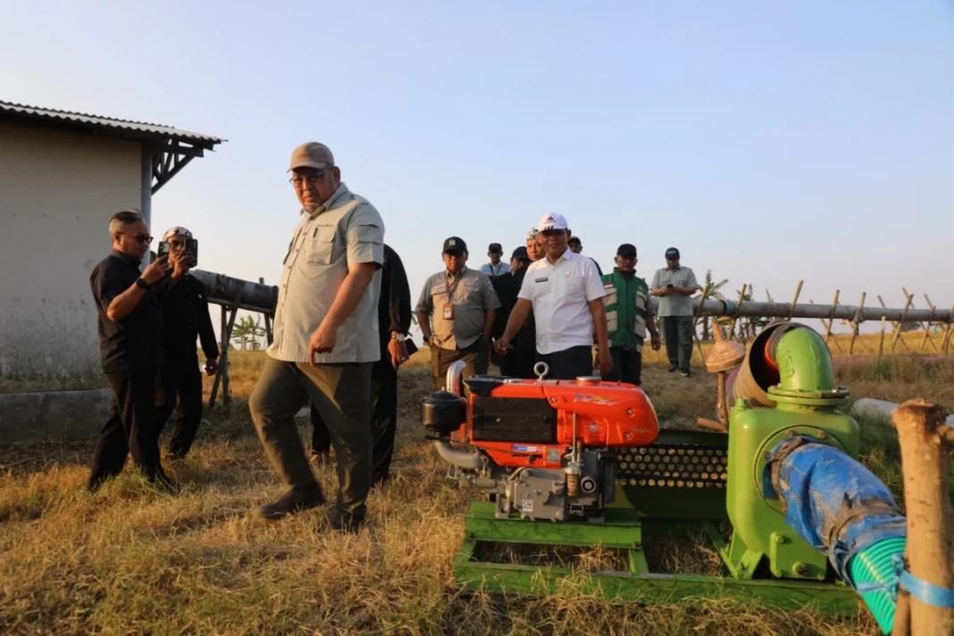 Kementerian Pertanian (Kementan) mempercepat program pompanisasi sebagai langkah mitigasi utama menghadapi potensi fenomena El Nino pada 2026 yang diprediksi BMKG berada pada kategori lemah hingga moderat.