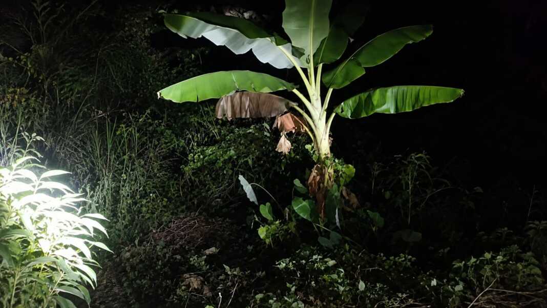 Lokasi penemuan jasad remaja perempuan CK di kawasan Jalan Waroki dekat Pantai Naikere, Kabupaten Nabire, Kamis malam, 30 Juli 2026.