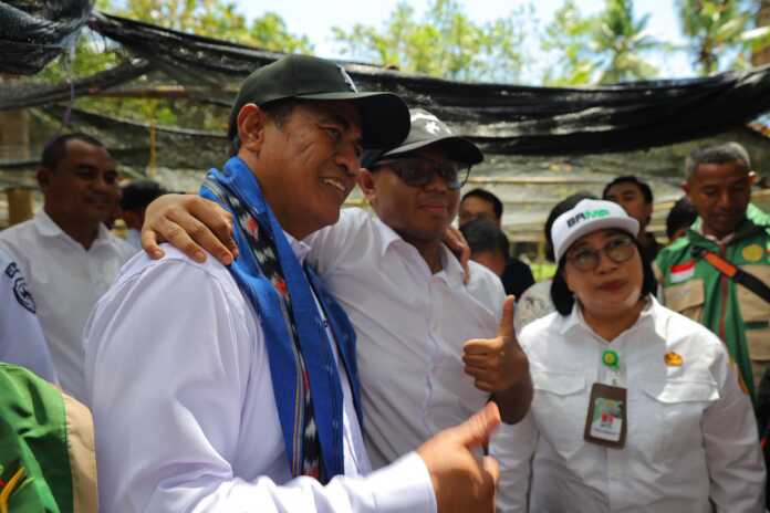 Mentan Amran Sulaiman bersama mahasiswa UNDIP Adriano Padama meninjau stok beras di Alor NTT
