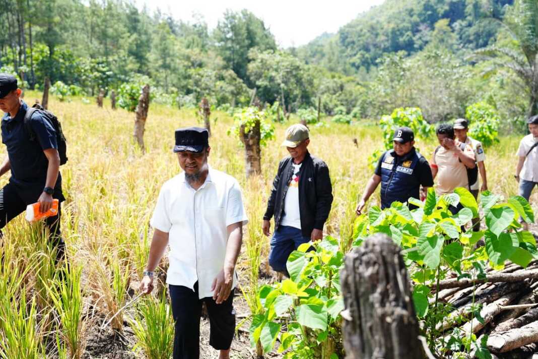 Bupati Bone, H. Andi Asman Sulaiman, S.Sos., M.M., mendampingi Gubernur Sulawesi Selatan, Andi Sudirman Sulaiman, S.T., meninjau langsung titik kedua rencana pembangunan jaringan irigasi perpipaan di Dusun Taka, Desa Bengo, Kecamatan Bengo, Kabupaten Bone, Rabu (12/8/2026).