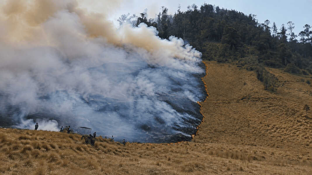 Asap tebal akibat kebakaran hutan dan lahan di kawasan Ranu Kumbolo, Taman Nasional Bromo Tengger Semeru.