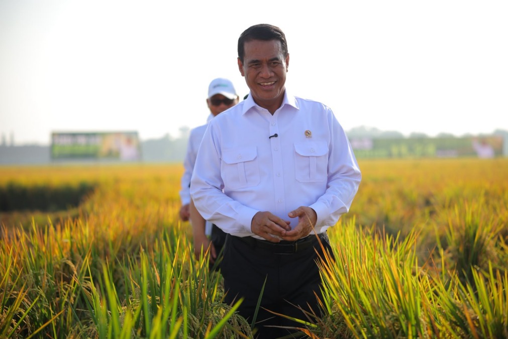 Menteri Pertanian Andi Amran Sulaiman optimistis produksi beras nasional aman meski Badan Pusat Statistik (BPS) memproyeksikan adanya penurunan tipis produksi beras pada Januari-Oktober 2026.