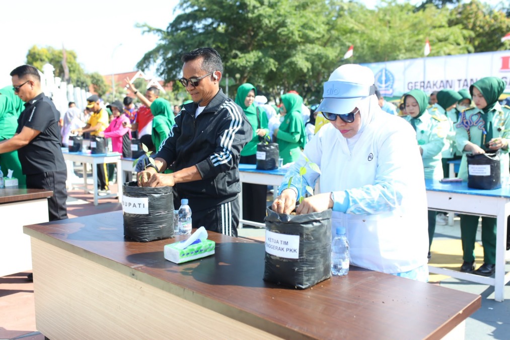 Pemkab Bone membagikan 2.400 bibit cabai, tomat dan terung untuk mendorong ketahanan pangan rumah tangga melalui gerakan tanam dalam polybag, Jumat (18/9/2026).