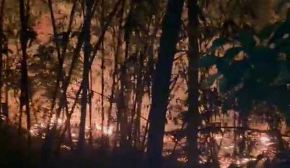 Karhutla di Mengkendek, Tana Toraja, nyaris menghanguskan gereja. Pelaku diduga sengaja membakar lahan dan belum diketahui.