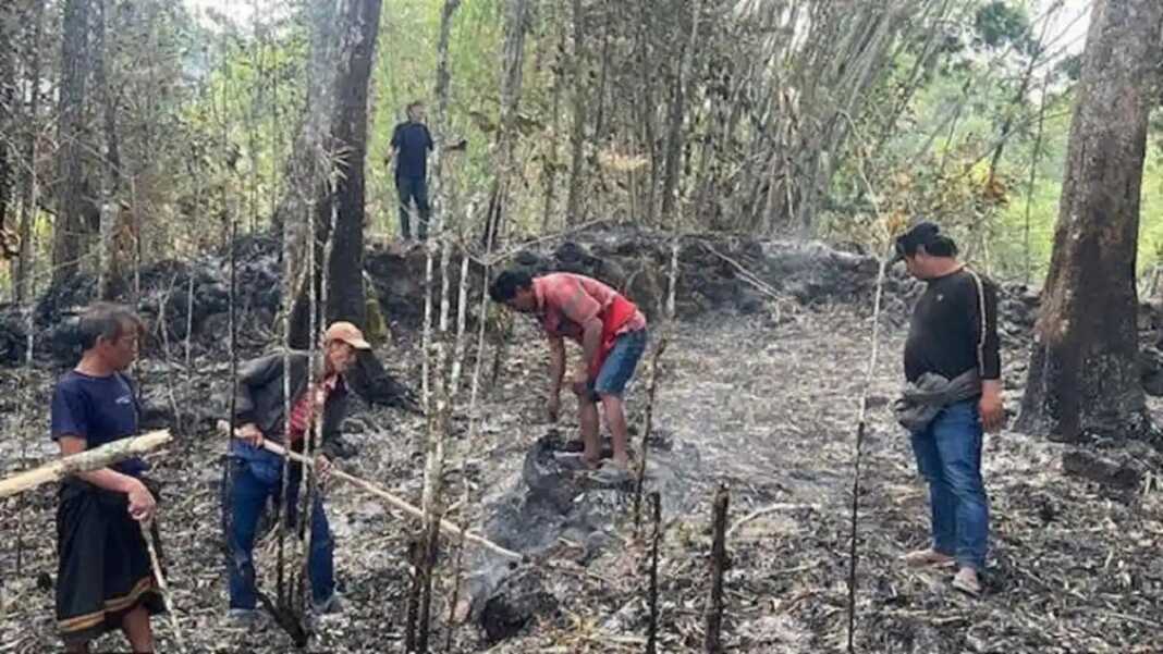 Karhutla di Toraja Utara mencapai 296 hektare sejak Agustus dan terjadi di 28 titik kawasan hutan lindung dan hutan produksi terbatas