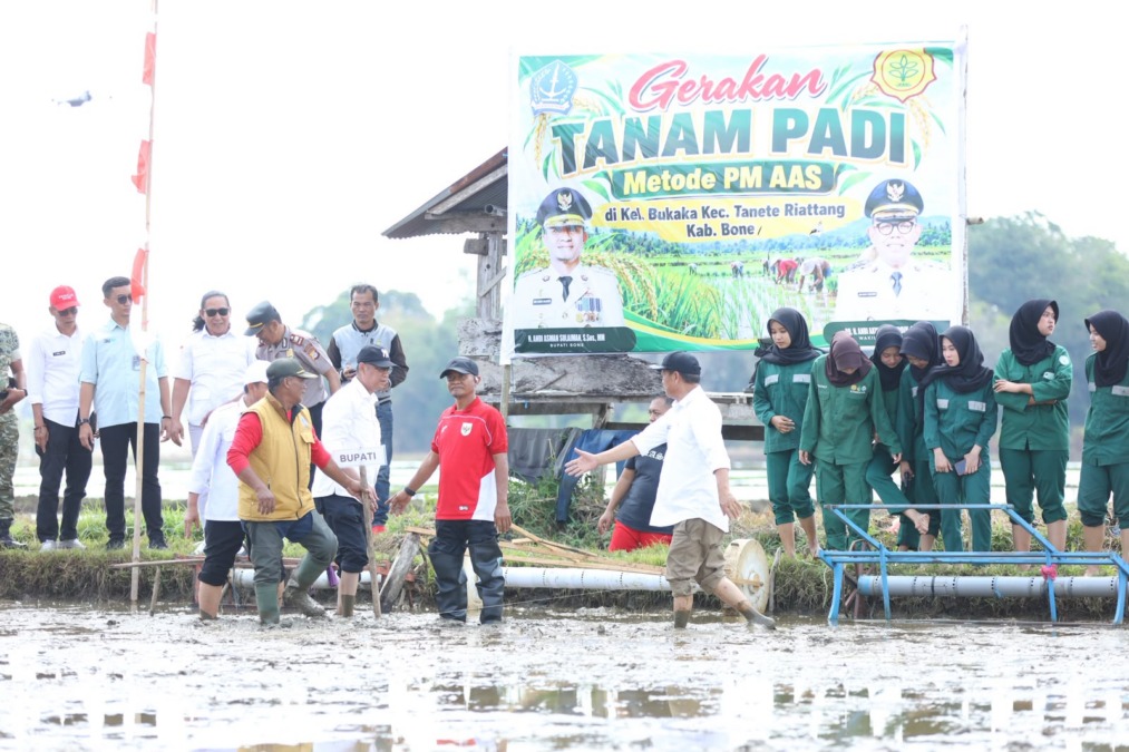Bupati Bone Andi Asman Sulaiman menargetkan Bone mandiri benih dan memperkuat hilirisasi pertanian. Program PM AAS menyasar 16.400 hektare lahan dengan dukungan teknologi modern.
