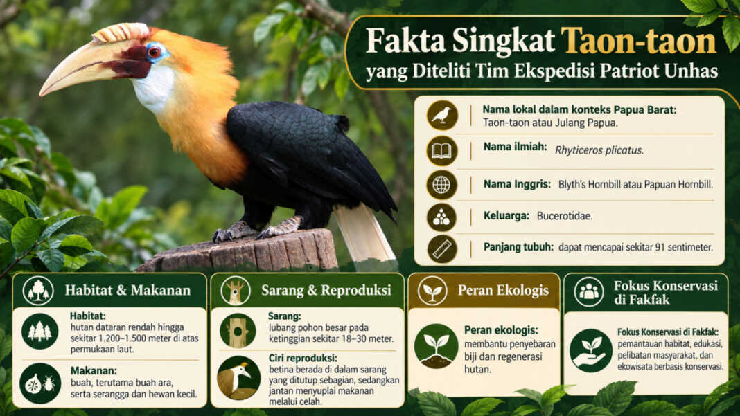 Burung Taon-Taon atau Julang Papua. Tim-4 Ekspedisi Patriot Universitas Hasanuddin (TEP Unhas) dan Resor Balai Konservasi Sumber Daya Alam (BKSDA) Fakfak menjajaki penyusunan Perjanjian Kerja Sama (PKS) untuk memantau habitat, mengedukasi masyarakat, melibatkan warga, dan mengembangkan ekowisata berbasis konservasi.