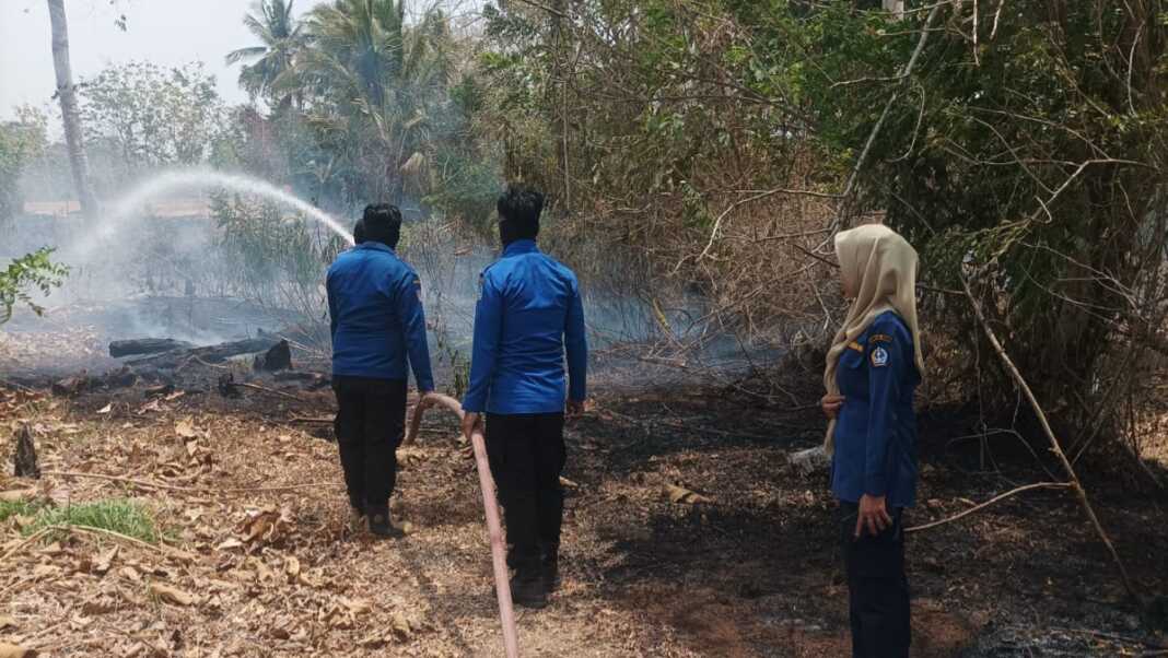 Petugas pemadam kebakaran menangani kebakaran lahan di Kabupaten Bone, Sulawesi Selatan