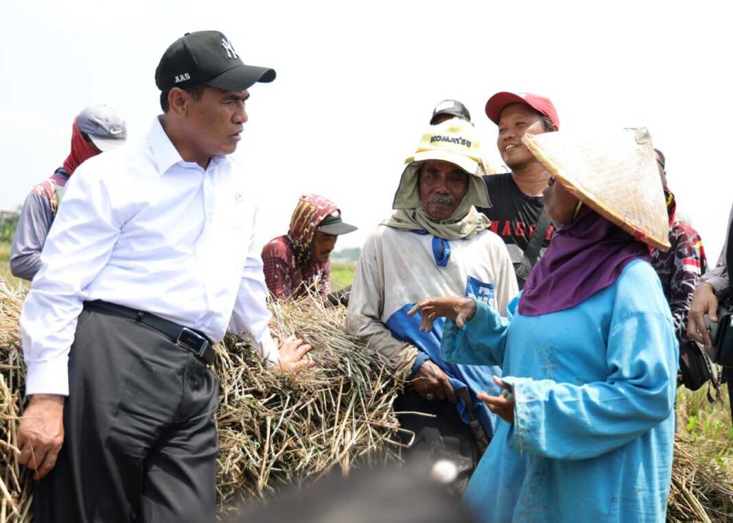 NTP Sulsel September 2026 naik 2,79 persen menjadi 125,94. Secara nasional, NTP mencapai 131,11 atau meningkat 1,49 persen.