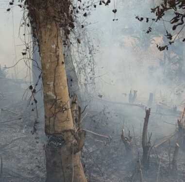 Kasus kebakaran lahan di Desa Teamusu Kecamatan Ulaweng