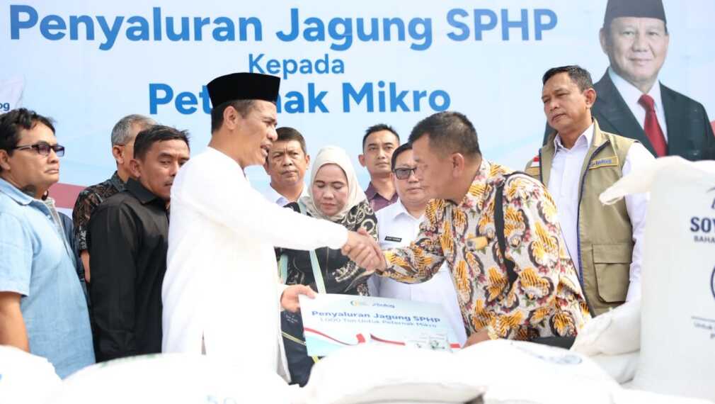 Pemerintah menyalurkan jagung SPHP Rp5.000/kg, lebih murah dari harga pasar untuk membantu peternak unggas memenuhi kebutuhan pakan.