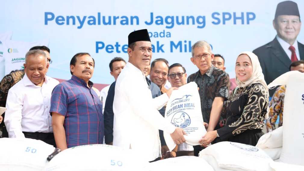 Sekitar 4 juta peternak mendukung hilirisasi peternakan Mentan Amran melalui penguatan pasokan jagung hingga pengolahan hasil ternak.