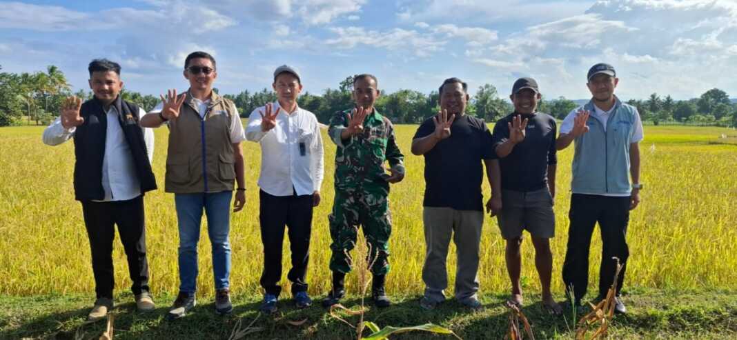 BULOG Bone menyerap 94.741 ton gabah petani, seiring capaian nasional pengadaan beras yang menembus 4,11 juta ton atau 102,88% dari target pemerintah.