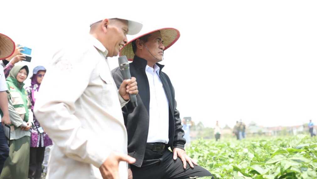 Kementan dan UGM menargetkan pengembangan kedelai hingga 5.000 hektare di Grobogan, Jawa Tengah, produktivitas di atas 3 ton per hektare.