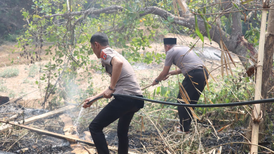 Kebakaran lahan di Dusun Mangottong, Sinjai Timur, membakar sekitar 0,5 hektar perkebunan warga sebelum dipadamkan tim gabungan.
